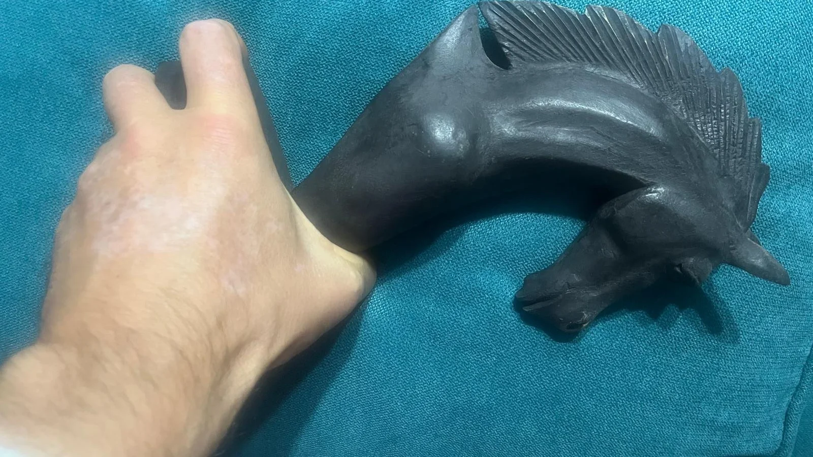 Sebastian's hand with vitiligo patches resting beside a carved dark wooden horse head on a teal sofa