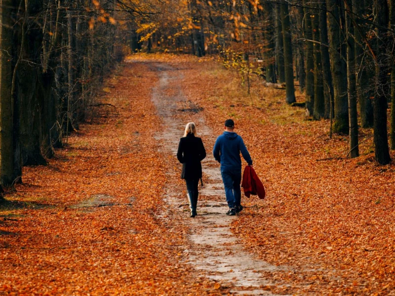 Couple strolling along a leaf-covered autumn path