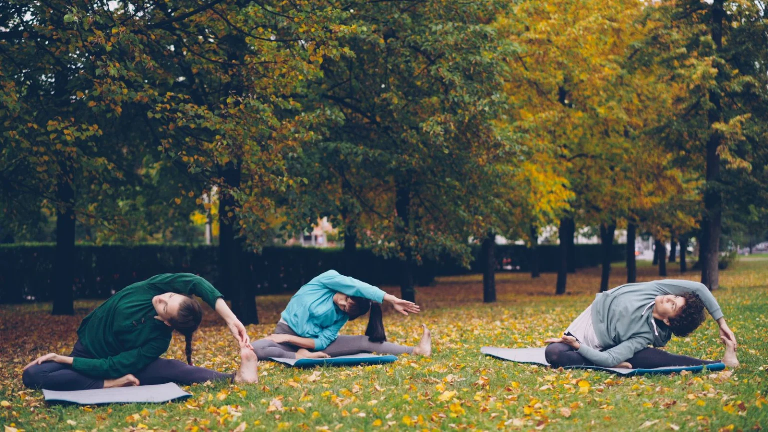 Three people stretching on yoga mats in an autumn park